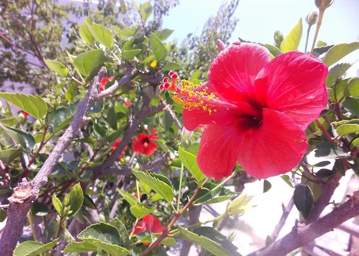 アパート Vrahos *