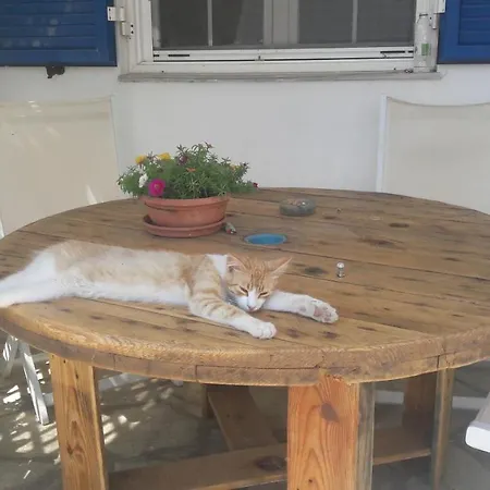 公寓 Vrahos 基奥尼亚