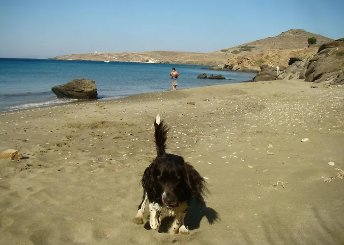 Vrahos Διαμέρισμα *